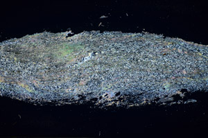 Cross Polarized, S84572