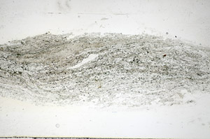 Plane Polarized, S84572