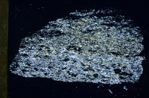 Cross Polarized, S84573