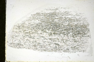 Plane Polarized, S84573