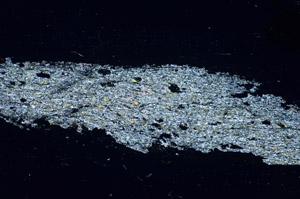 Cross Polarized, S84574