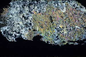 Cross Polarized, S84576