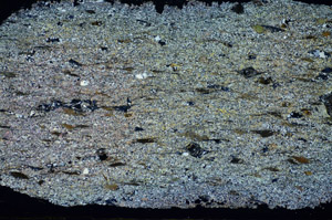 Cross Polarized, S84577