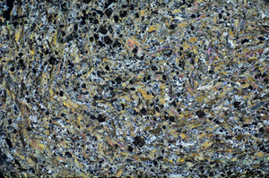 Cross Polarized, S84578