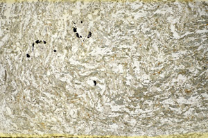 Plane Polarized, S84578