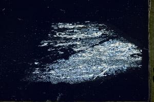 Cross Polarized, S84579