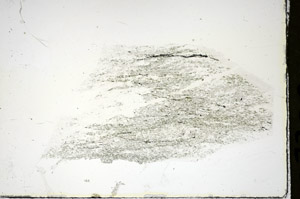 Plane Polarized, S84579