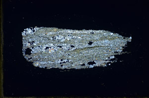 Cross Polarized, S84580