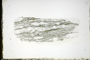 Plane Polarized, S84580