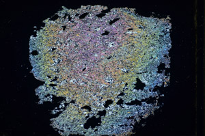 Cross Polarized, S84582