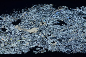 Cross Polarized, S84583