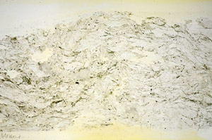 Plane Polarized, S84583