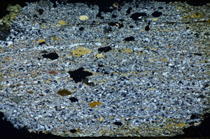 Cross Polarized, S84584