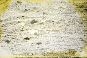 Plane Polarized, S84584