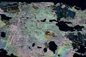 Cross Polarized, S84585