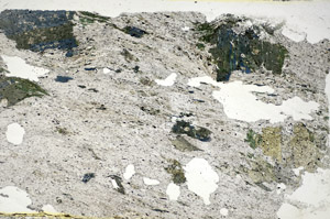 Plane Polarized, S84585