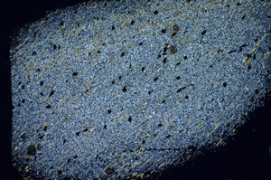 Cross Polarized, S84629