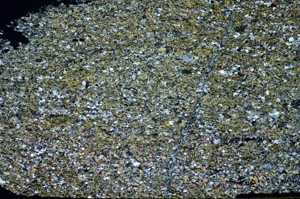 Cross Polarized, S84630