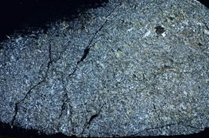 Cross Polarized, S84631