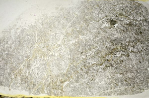 Plane Polarized, S84631