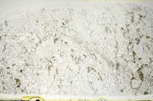 Plane Polarized, S84634