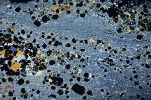 Cross Polarized, S84635