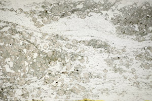 Plane Polarized, S84635