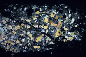 Cross Polarized, S84638