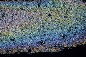 Cross Polarized, S84642