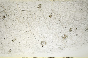 Plane Polarized, S84642