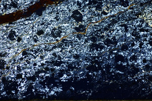 Cross Polarized, S84643