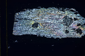 Cross Polarized, S84645