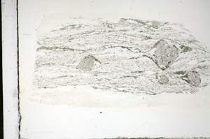 Plane Polarized, S84645