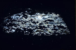 Cross Polarized, S84646