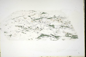 Plane Polarized, S84646