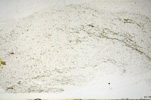 Plane Polarized, S84647