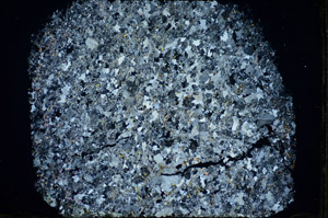 Cross Polarized, S84648