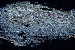 Cross Polarized, S84650