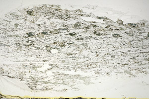 Plane Polarized, S84650