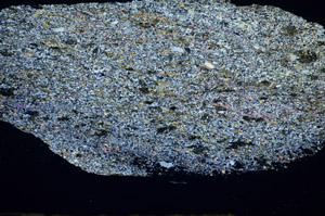 Cross Polarized, S84651