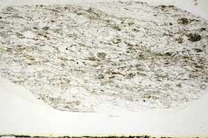 Plane Polarized, S84651