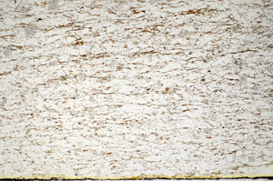 Plane Polarized, S84652