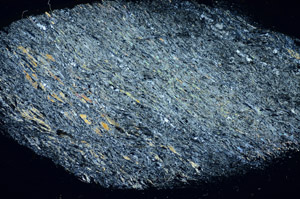 Cross Polarized, S84653