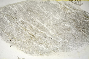 Plane Polarized, S84653