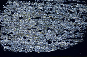 Cross Polarized, S84654