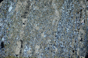 Cross Polarized, S84655