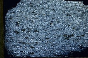 Cross Polarized, S84656