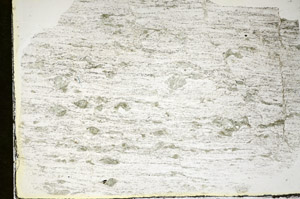 Plane Polarized, S84656