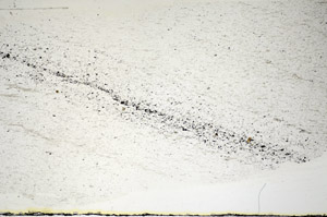 Plane Polarized, S84658