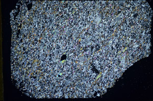 Cross Polarized, S84659